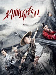 碧血锦衣卫高清播放