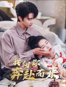 我向你奔赴而来高清播放