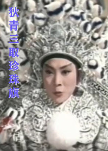 狄青三取珍珠旗高清播放