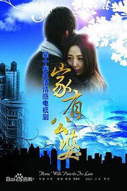 家有公婆高清播放