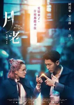 月老在线观看