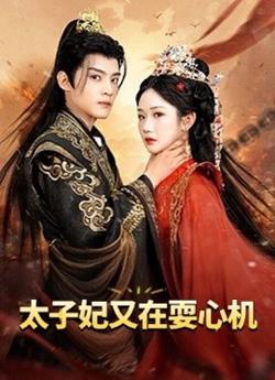 太子妃又在耍心机高清播放