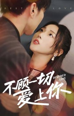 不顾一切爱上你在线观看