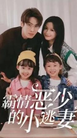 霸情恶少的小桃妻在线观看