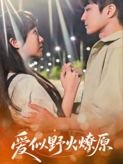 爱似野火燎原高清播放