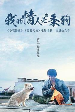 我的情人是条狗高清播放