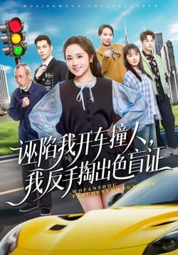 诬陷我开车撞人,我反手掏出色盲