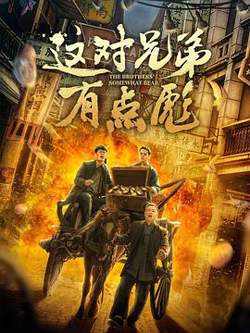 这对兄弟有点彪高清播放