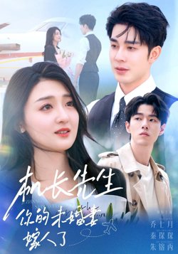 机长先生你的未婚妻嫁人了在线观看