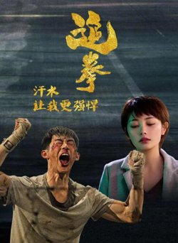 追拳在线观看
