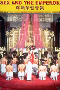 满清禁宫奇案[电影解说]高清播放