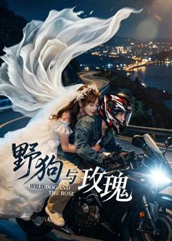 野狗与玫瑰高清播放