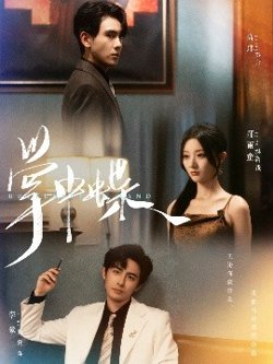 掌中蝶高清播放