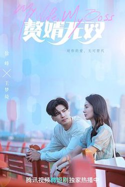 赘婿无双高清播放