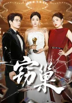 窃巢高清播放