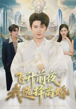 飞升前夜，我选择离婚在线观看