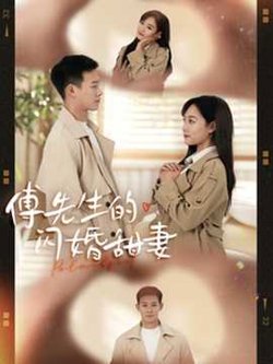 傅先生的闪婚甜妻高清播放