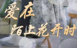 爱在陌上花开时高清播放
