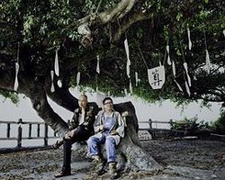 四十四只石狮子高清播放