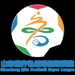 山东省齐鲁足球超级联赛 济南队VS聊城传奇农商行20260628高清播放