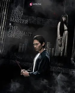 风水大师与孕鬼高清播放
