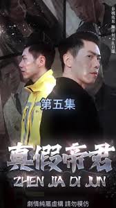 真假帝君高清播放