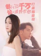 老公拆资千万请我帮他打离婚官司高清播放