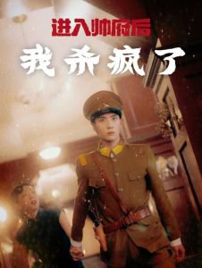 进入帅府后我杀疯了在线观看