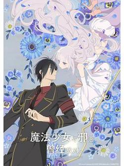 魔法少女与恶曾是敌人。高清播放