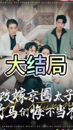 改嫁京圈太子竹马们悔不当初在线观看