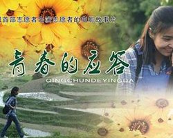 青春的应答高清播放