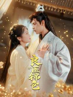 良医锦色高清播放