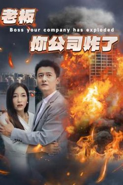 老板你公司炸了在线观看