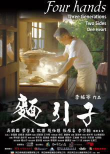 面引子高清播放