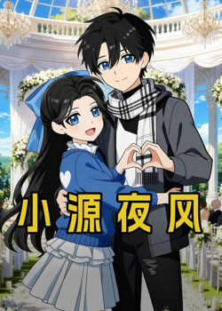 小源夜风高清播放