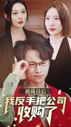被裁员后我反手把公司收购了高清播放