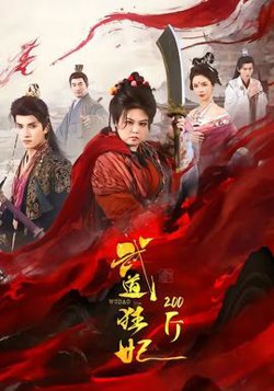 武道狂妃200斤高清播放