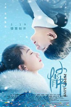 小情书在线观看
