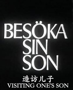 造访儿子高清播放