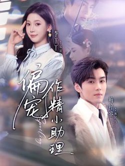 偏宠作精小助理高清播放