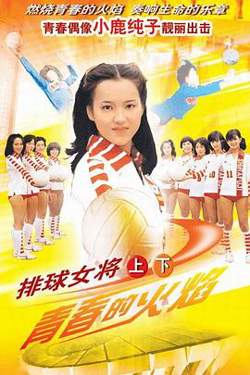 排球女将高清播放