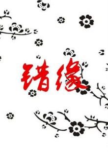 错缘高清播放