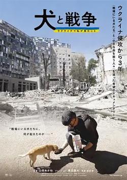 犬与战争我的乌克兰见闻高清播放