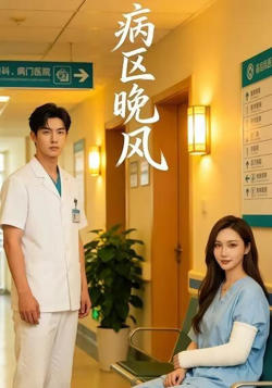 病区晚风在线观看