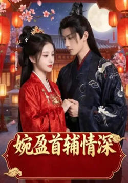 婉盈首辅情深高清播放