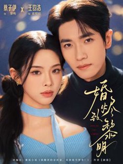 婚烬致黎明在线观看