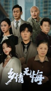 乡情无悔高清播放