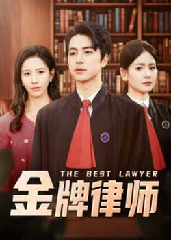 金牌律师高清播放