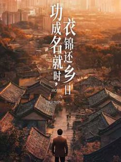 功成名就时衣锦还乡日高清播放