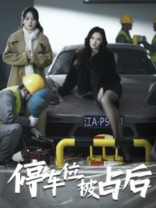 停车位被占后高清播放